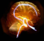 train_brain