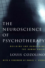 The Neuroscience of Psychotherapy, Building and Rebuilding the Human Brain by Louis Cozolino